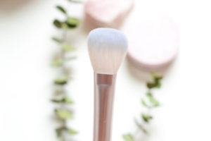 Glossier Review: Wowder powder brush